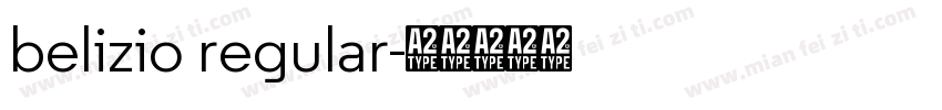 belizio regular字体转换